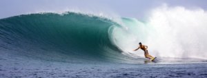 surfer on a perfect wave, surf trip, travel